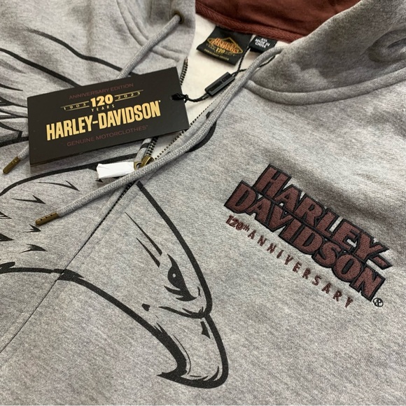Harley-Davidson Men's 120th Anniversary Zip-Up Hoodie - Heather Gray 96521-23VM - Picture 5 of 11